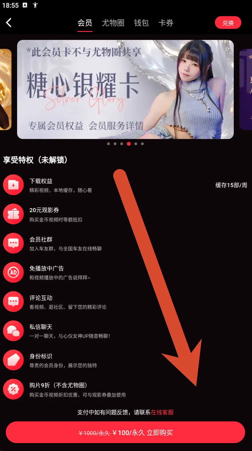 糖心银耀卡会员价格界面示例
