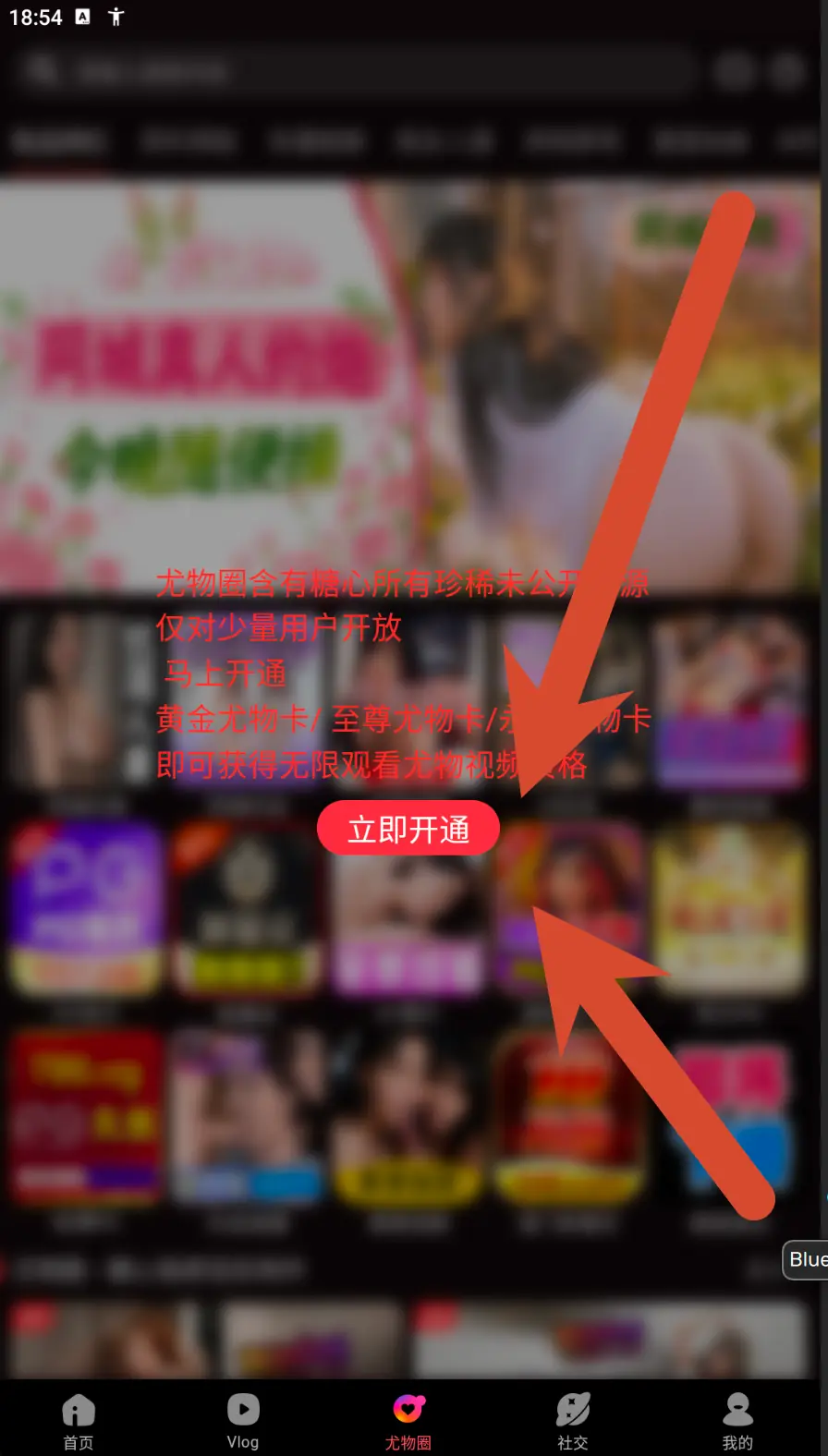 糖心Vlog宠物圈会员提示界面示例