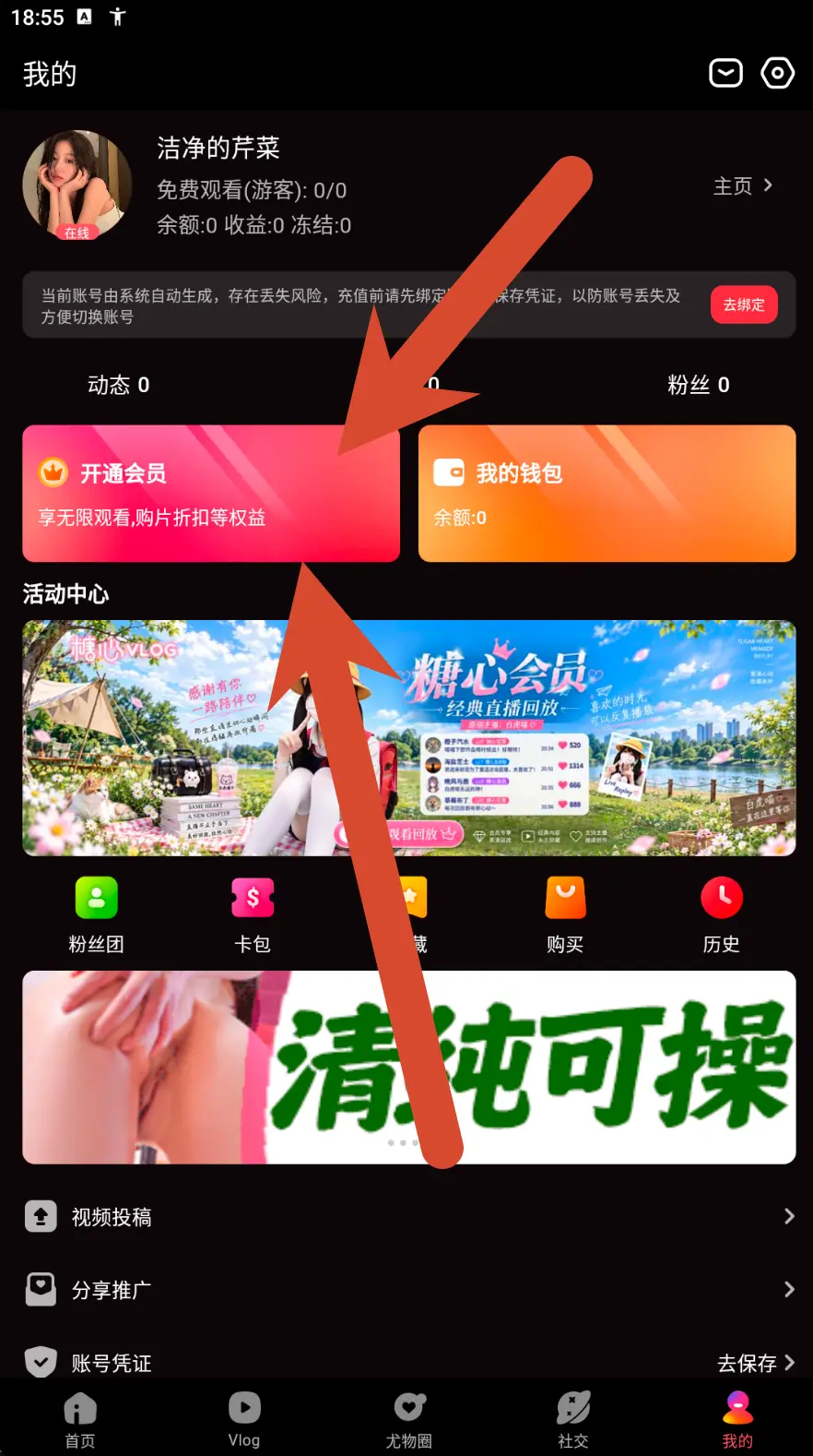 糖心Vlog个人中心会员与钱包界面示例