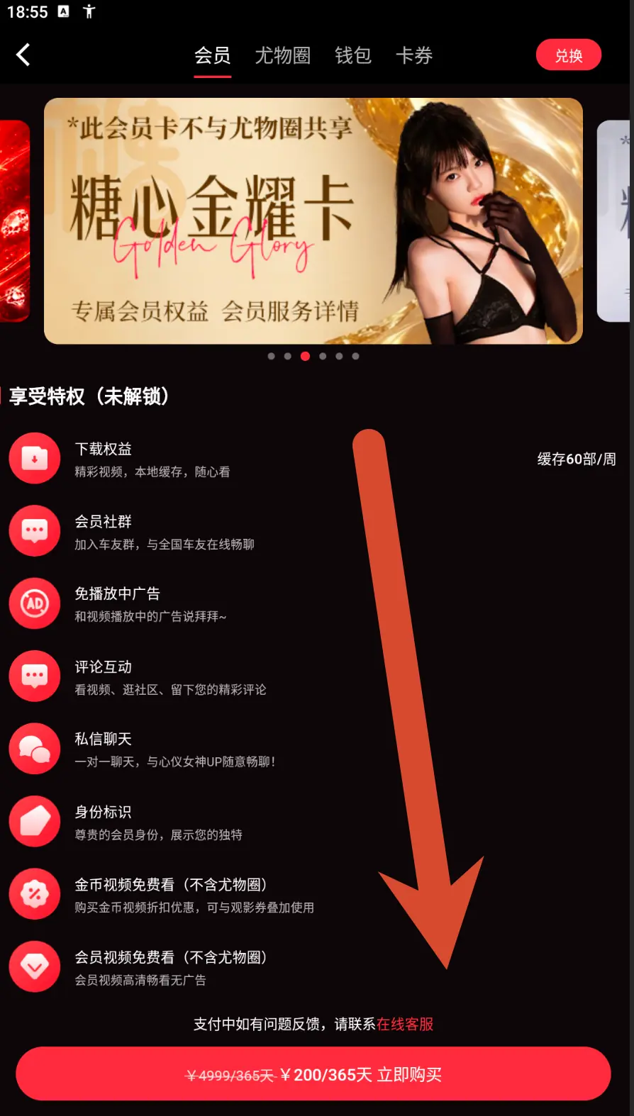 糖心金耀卡会员价格界面示例